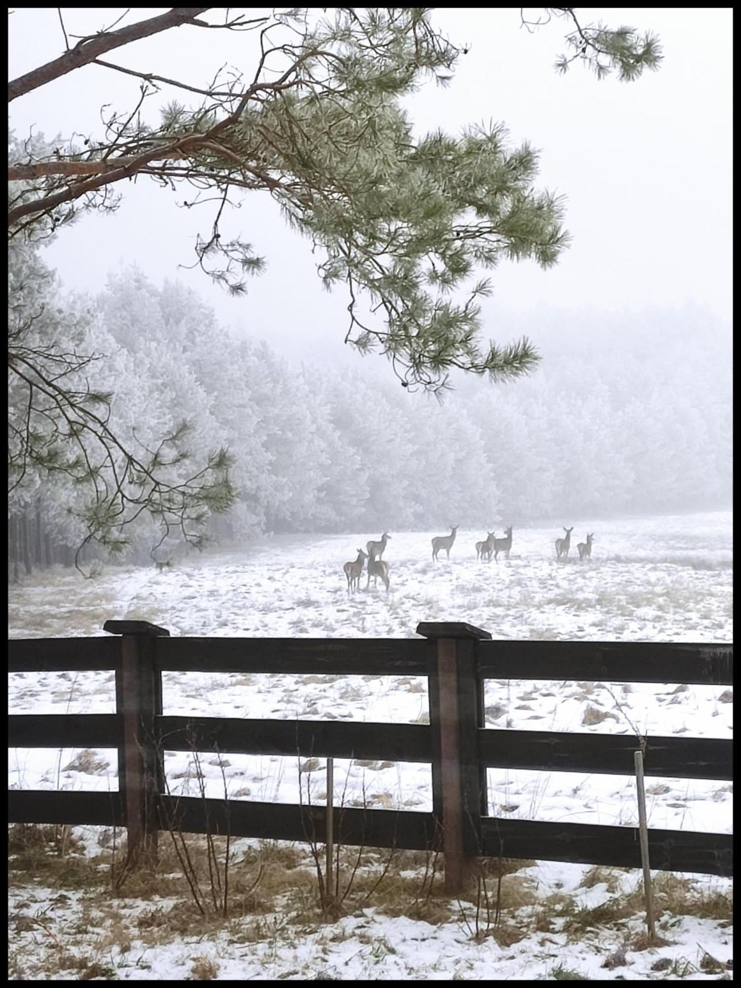 Hankowka Mazury Jerutki ภายนอก รูปภาพ